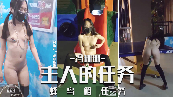 冯珊珊_主人的任务_蜂鸟箱任务.
