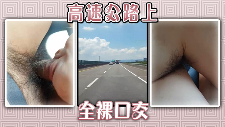 高速公路上全裸口交.