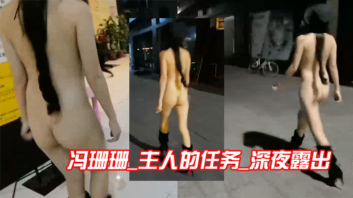 冯珊珊_主人的任务_深夜露出.