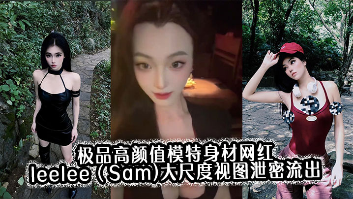 极品高颜值模特身材网红leeleeSam大尺度视.图泄密流出